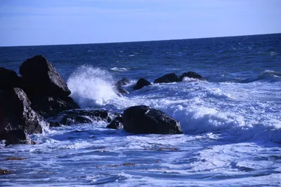 DSC_0557 (Large).JPG